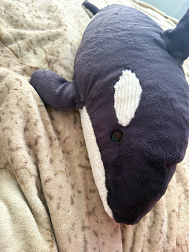Ollivander the orca jellycat - the,