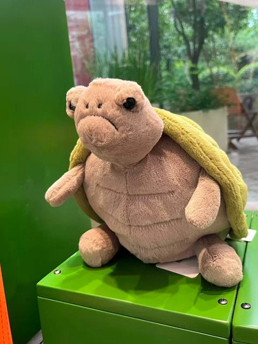 New jelly cat - cat, turtle