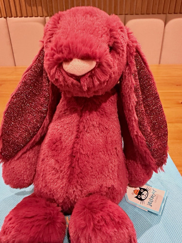 Rare retired jellycat - -,