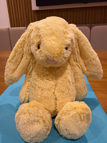 Rare retired jellycat - retired,