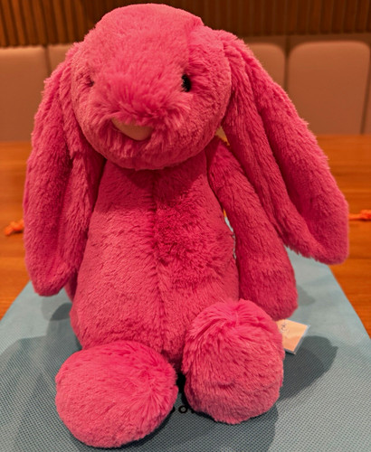Rare retired jellycat - rare,