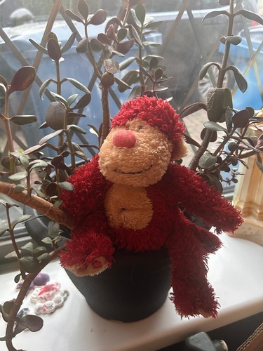 Jellycat paw red monkey - red,